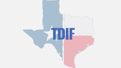 Texas Disability Issues Forum logo
